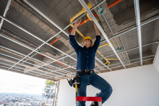 Best Leak Detection Services  in Milan, NM